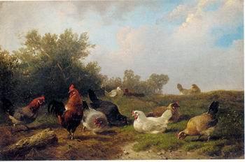 unknow artist Cocks 124 Germany oil painting art